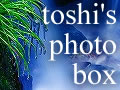 Toshi̎ʐ^